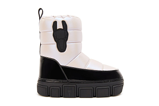 Луноходы